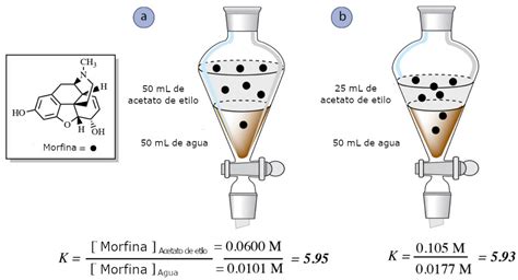 Teoría de la extracción Técnicas de laboratorio Quimicafacil net