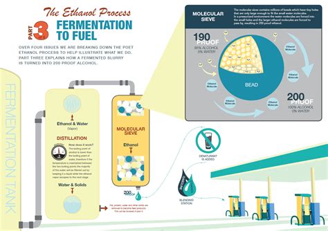 Infographics The Ethanol Process Vital A News And Media Resource