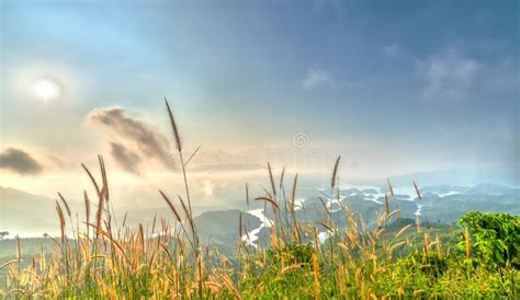 Landscape Of Ta Dung Lake In The Morning When The Sun Shines Down To