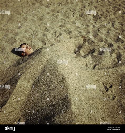 Bury Your Head In The Sand Stock Photos And Bury Your Head In The Sand