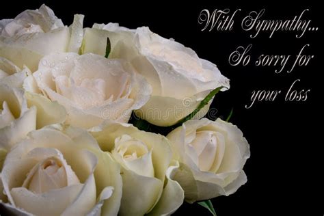Deepest Condolence White Flowers On White Background With Text Stock