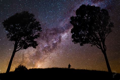 Wallpaper Trees Night Sky Photography Silhouette Stars Think