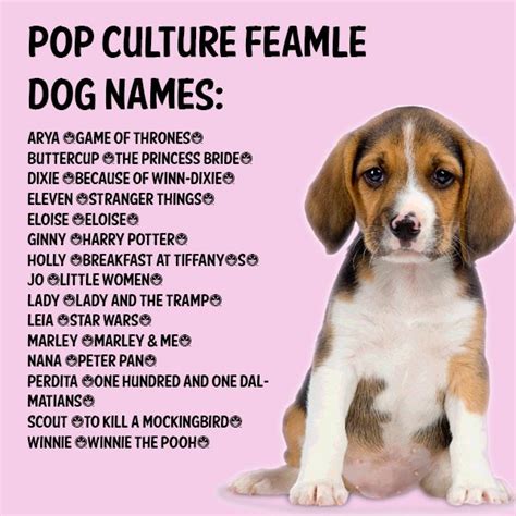 5 Female Dog Names With Meaning Protector Free Save