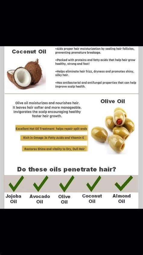 5 Oils Good For Hair Growth Musely