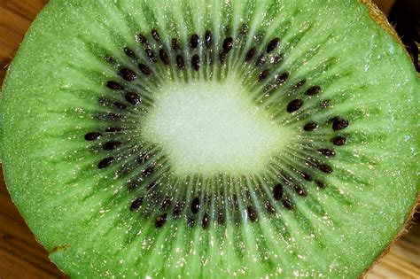 Wallpaper Fruit Green Kiwi Produce Close Up Macro Photography