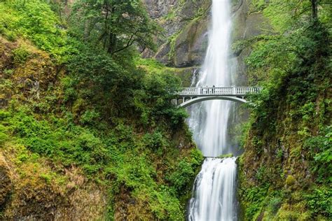 Afternoon Half Day Multnomah Falls And Columbia River Gorge Waterfalls