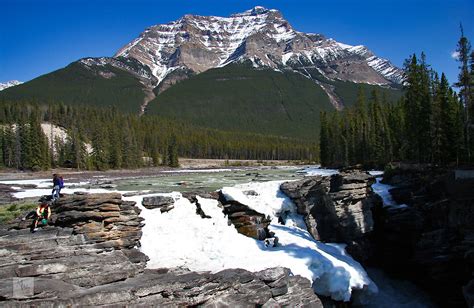 Frozen Athabasca Falls Near Jasper Alberta Canadian Roc Flickr