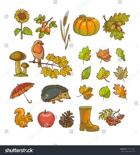 Fall Symbols Autumn Icons Objects Set Stock Vector Royalty Free