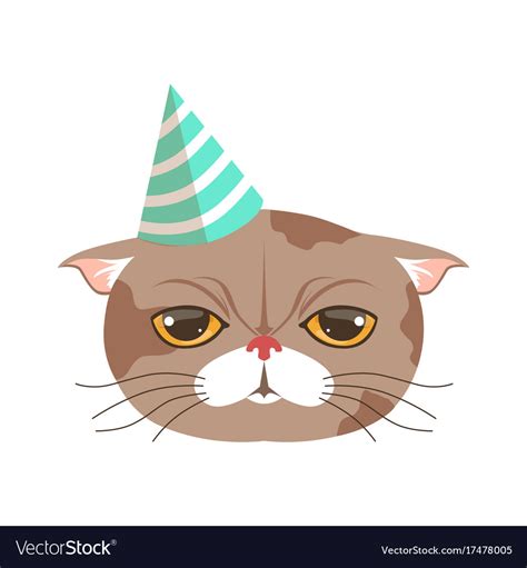 Cute Cat Party Hat Funny Cartoon Animal Character Vector Image