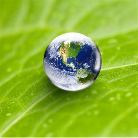 Focus World Globe In Water Drop On Green Leaf Picture Id171158589 Grenian