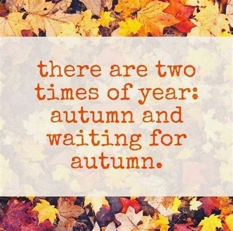 30 Autumn Quotes To Fall In Love With Winter Beauty Entertainmentmesh