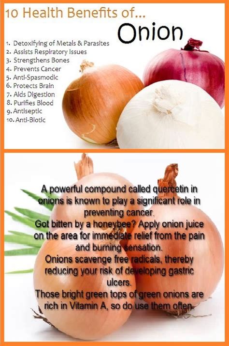Maybe you would like to learn more about one of these? Health Benefits of Onions | Nutritional Value Of Onions ...