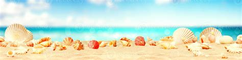 Landscape With Seashells On Tropical Beach Summer Holiday 8851403