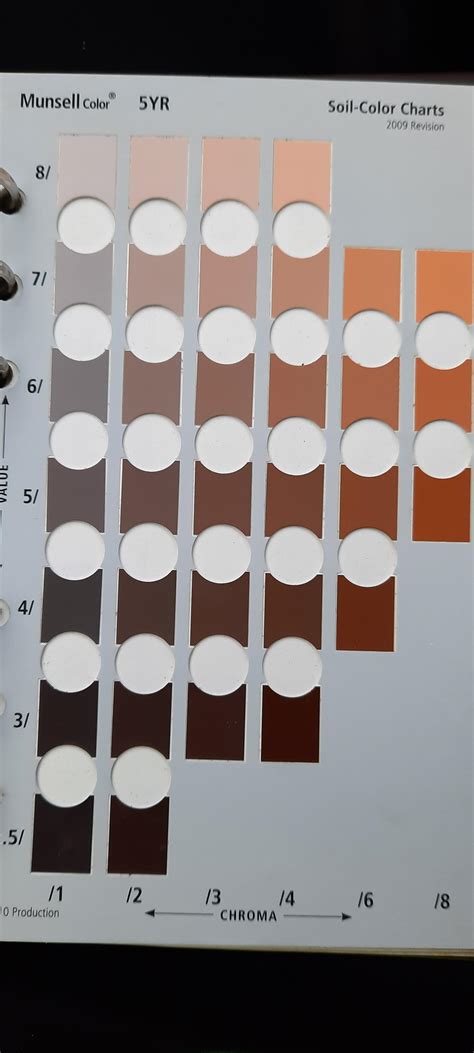 Munsell Color Chart App Alla Majors Sexiz Pix