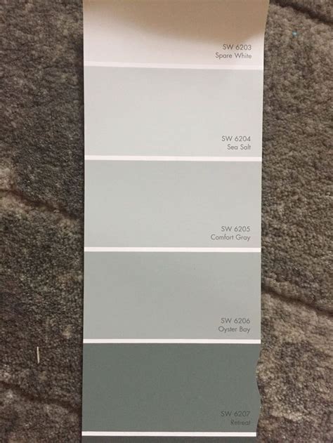 Incredible Sherwin Williams Sea Salt Coordinating Colors Comfort Gray