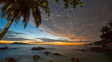 Palm Tree In Magical Patong Beach Phuket Thailand Sea Lights Clouds