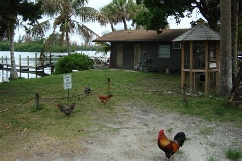 You'll be just minutes from some of the best fishing spots in florida, while there's a public boat ramp just one mile away. Florida Fish Camps: Your Getaways to Old Florida