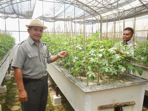 Bro Online Sekilas Tentang Balai Besar Pelatihan Pertanian Bbpp Lembang