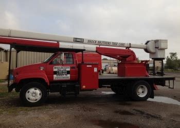 But for tree collectors, their busiest season is about to begin. 3 Best Tree Services in Warren, MI - Expert Recommendations