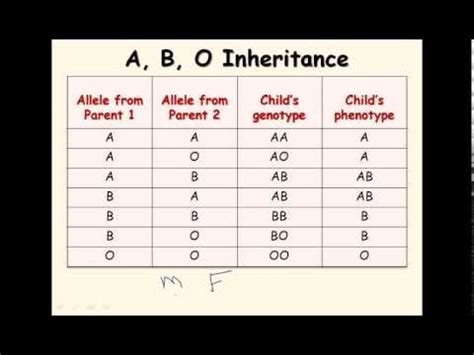 11. AB blood type (genetics) 
