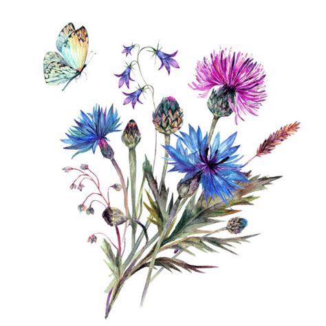 Wildflowers Clip Art 10 Free Cliparts Download Images On Clipground 2023