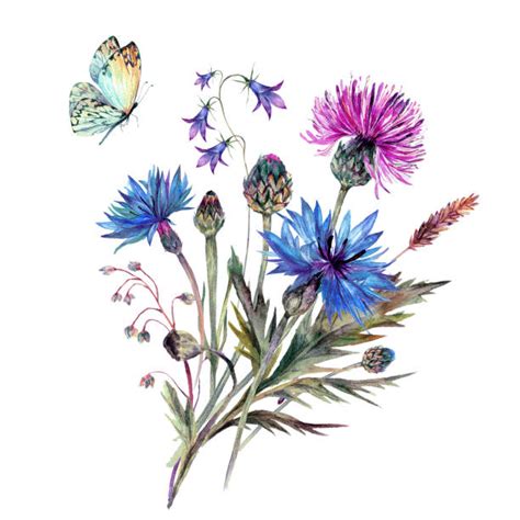 wildflowers clip art 10 free Cliparts | Download images on Clipground 2022