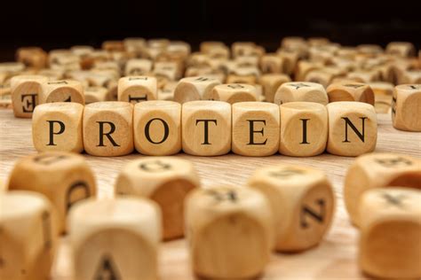 Al giorno d'oggi, infatti, le varianti vegetariane o vegane di alimenti e ricette sono numerose, e offrono un elevato contenuto proteico. Alimenti ricchi di proteine: la lista divisa per tipologia