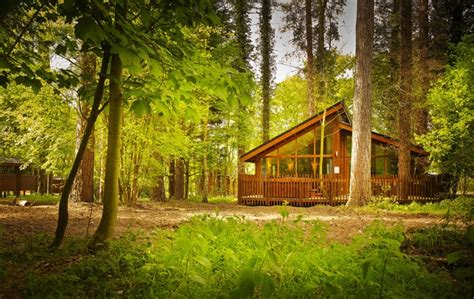 Maybe you would like to learn more about one of these? REVIEW | Pet Friendly Forest Holiday Cabins | STYLETAILS