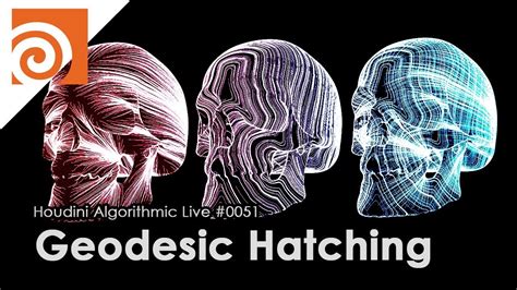 Houdini Algorithmic Live 051 Geodesic Hatching Youtube