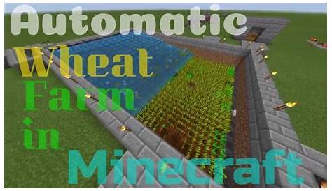 how do you plant wheat in minecraft