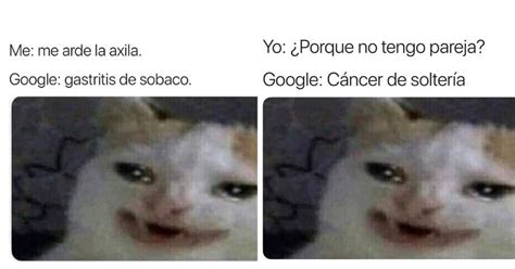 Meme Del Gato Llorando Por Google | Cute memes, Cartoon memes, Funny
