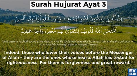 Surah Hujurat Ayat 3 493 Quran With Tafsir My Islam