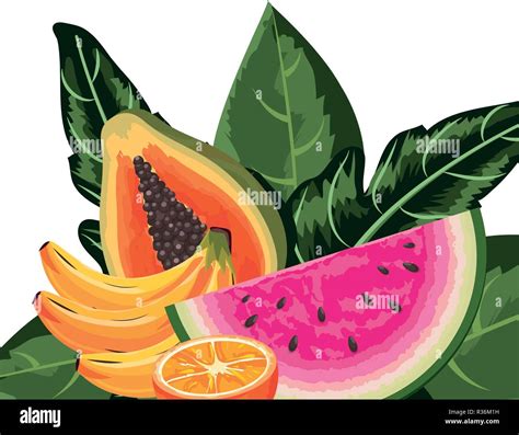 Tropical Fruits Watermelon With Orange And Bananas With Papaya Cartoon