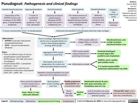 Pseudogout Pathogenesis And Clinical Findings Calgary Guide