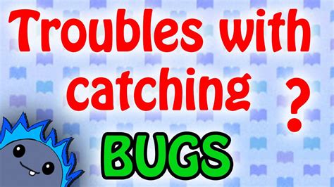 Bug Guide Animal Crossing New Leaf Youtube