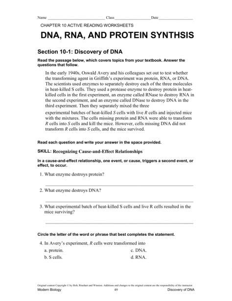 Nucleic acids worksheet answers / presentation free download nucleic