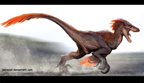 Velociraptor Late Cretaceous 7571ma Theropod Discovered By