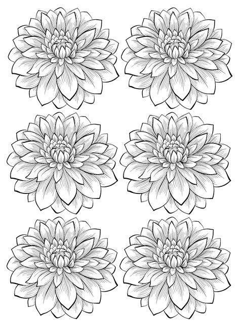 This is the second flower page i tried with the line detail and i must say it's. Six dahlia flower - Flowers Adult Coloring Pages