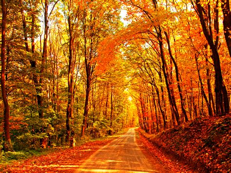 September Fall Wallpaper The Pity Party Wealthy Republicans Want