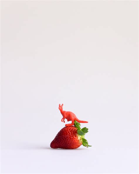 8×10 Photography Print Fruity Animals Strawberry And Kangaroo Etsy
