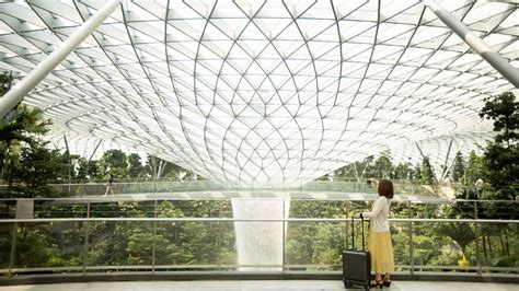 Video Offers Glimpse Inside Safdie Architects Jewel Changi Airport