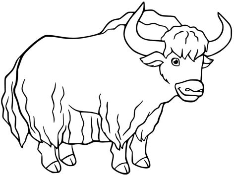 Printable Yak Coloring Page - Free Printable Coloring Pages for Kids