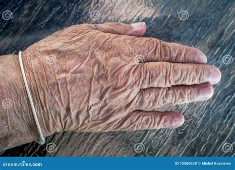 Elderly Old Lady Hand Stock Photo Image Of Lady Persons 75560630