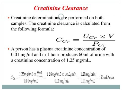 How to calculate creatinine clearance. Creatinine Clearance Equation 24 Hour Urine - Tessshebaylo