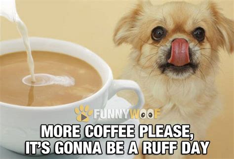 Dogs Drink Coffee Too How Do You Think They Survive A Ruff Day