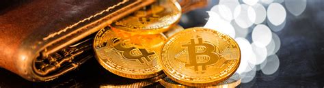 Aprenda a os primeiros passos para investir no mercado de criptomoedas. Como funcionam as carteiras de criptomoedas? | Tutoriais ...