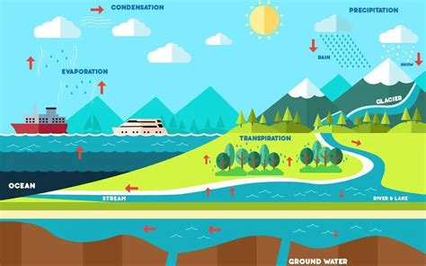 The Water Cycle Definition Easy Science Lesson For Kids