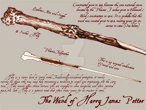 The Wand Of Harry Potter Diagram By Gondring On Deviantart Harry