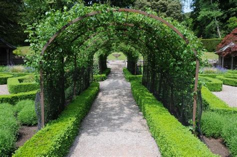 Pergola Tunnel Tyntesfield © Philip Halling Cc By Sa20 Geograph