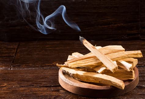 Use Palo Santo To Revive Your Homes Atmosphere Herbs America Inc